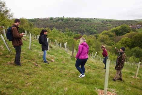 High Hirst Woodmeadow group